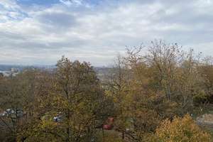 Property thumbnail 19