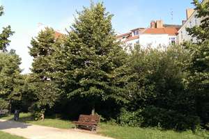 PROVISIONSFREI, Lichtdurchflutete, kernsanierte Oase mit Parkblick im ruhigen Gartenhaus – Stettiner Straße 30, 13357 Gesundbrunnen, Berlin – Vorschaubild 13