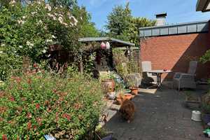 Bungalow in Top Lage von Hamminkeln!! – Wesel (Kreis) – Vorschaubild 17