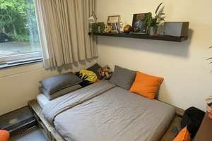Studentenwohnheim Zimmer