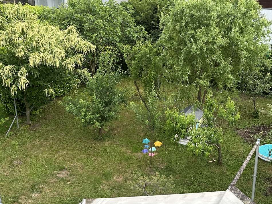 Ausblick