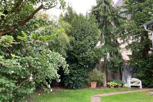Freistehendes EFH/Bungalow in bester Lage von Trautheim – Darmstadt-Dieburg (Kreis) – Vorschaubild 5