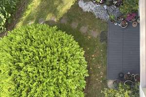  3 Zimmer Wohnung in Solingen Ohligs mit Terrasse  – Die vollständige Adresse der Immobilie erhältst du vom Anbieter., 42697 Ohligs/Aufderhöhe/Merscheid, Solingen – Vorschaubild 13