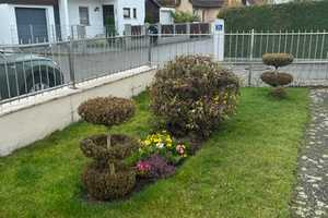 Superschöne DHH mit parkähnlichem Garten – Junggartenstr. 16, 85055 Ingolstadt – Vorschaubild 11