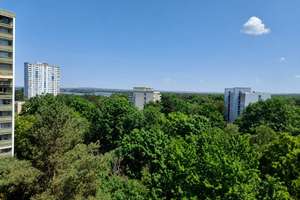 Großzügiges 1-Zimmer-Appartement mit Balkon in N-Langwasser