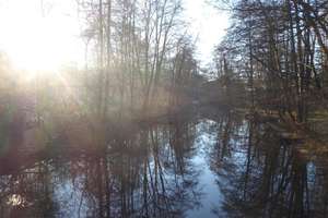 Schön, ruhig und im Grünen: energetisch saniert, courtagefrei! – Die vollständige Adresse der Immobilie erhältst du vom Anbieter., 22339 Hummelsbüttel, Hamburg – Vorschaubild 23
