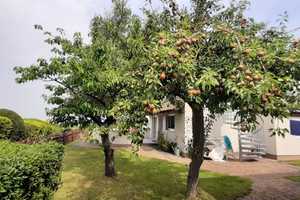 RARITÄT in ERSTER Strandreihe / saniertes Ferienhaus mit Reetdach, Sauna, Gästehaus,  Küche, uvm. – An der Promenade 27, 23999 Nordwestmecklenburg (Kreis) – Vorschaubild 28