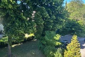 Lebensqualität im Leipziger Süden - Helle 3-Zimmer-Wohnung in grüner Umgebung