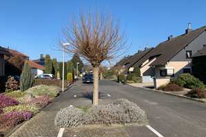 SANKT AUGUSTIN in top Lage, gepflegte Einfam. DHH mit 5-6 Zi., 301 m² GrSt., Keller, Garten, Garage – Rhein-Sieg-Kreis – Vorschaubild 55
