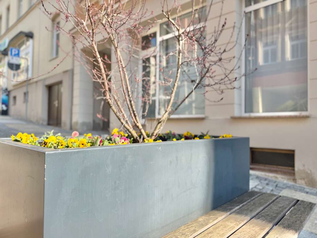 Immobilie in Hohenstein-Ernstthal - Wohnen • und Gewerbe • Hohenstein-Ernstthal • selbst nutzen • und / oder vermieten • jetzt kaufen! - Bild 2