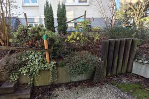 Property thumbnail 12