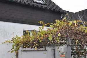449 - Mehrfamilienhaus (4 WE) mit großem Grundstück und vielseitigem Potenzial in Gummersbach – Rosenstraße 1X, 51647 Oberbergischer Kreis – Vorschaubild 12