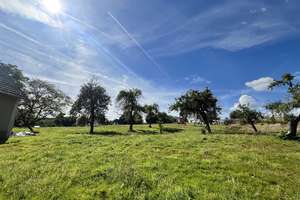 LAGE LAGE LAGE: WOHNEN MIT SONNE & GARTEN!
EFH mit Scheune – Borners Garten 12, 51545 Waldbröl – Vorschaubild 13