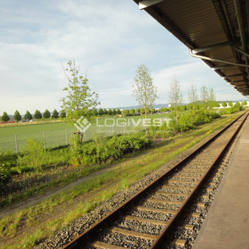 Großzügige Grundstücksfläche nahe der Deutsch-Polnischen Grenze