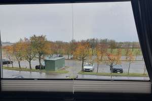 FERIENAPPARTEMENT ZWISCHEN YACHTHAFEN UND SÜDSTRAND – Stranddistelweg 7, 23769 Fehmarn – Vorschaubild 5