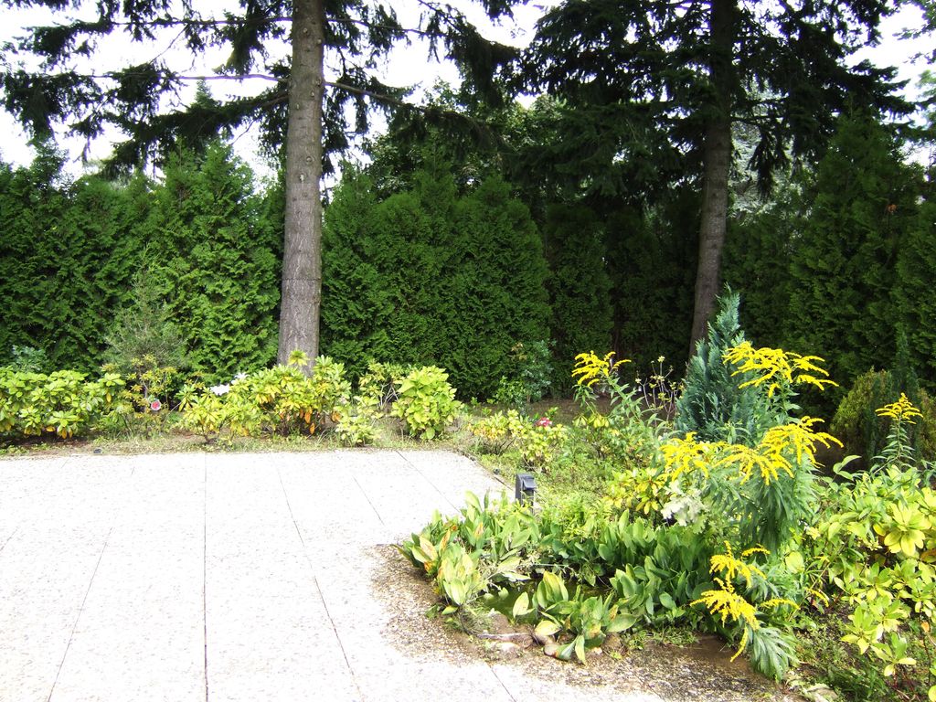 Modernes Einfamilienhaus in hervorragendem Zustand! Ruhige Wohnlage