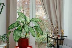 Property thumbnail 9