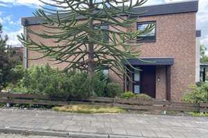 Reiheneckhaus in bester Lage von Broich – direkt am Uhlenhorst – Mülheim an der Ruhr – Vorschaubild 2
