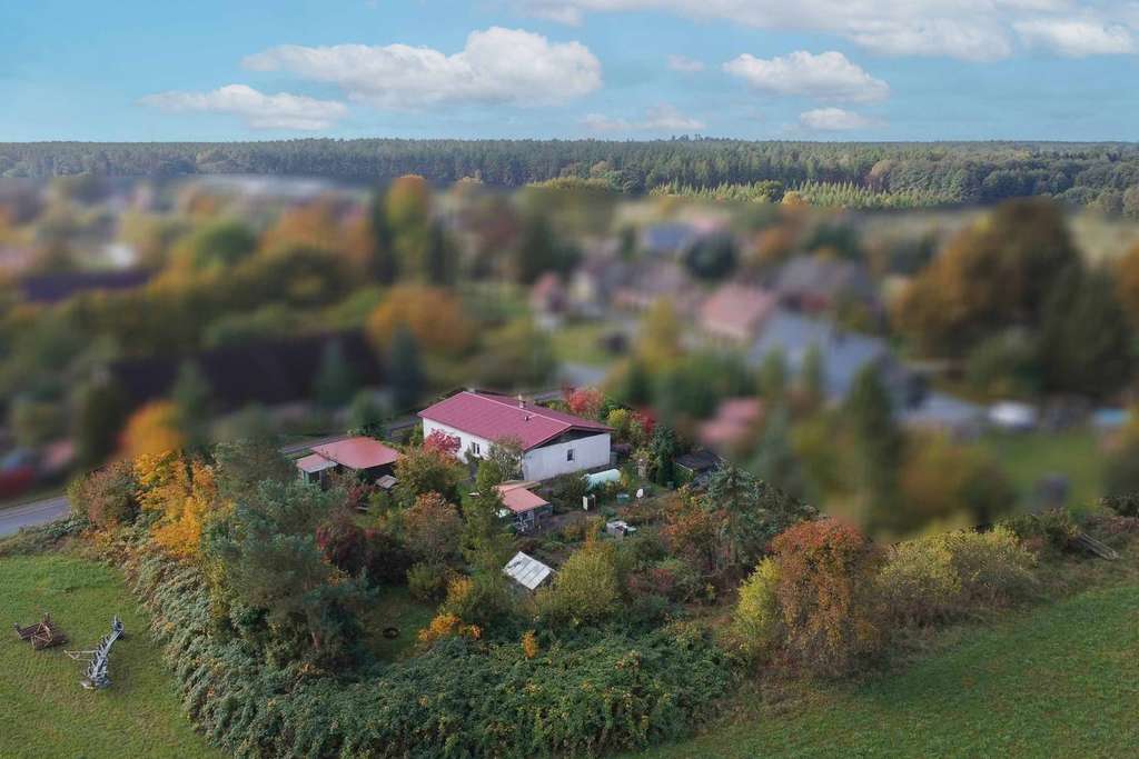 Immobilie in Mirow - Naturgenuss: Einfamilienhaus im Bungalowstil mit großem Gartengrundstück in Feldrandlage - Bild 3