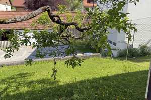 2-FH DHH mit schönen, großzügigen und sonnigen Gartenanteil sucht neuen Besitzer – Rems-Murr-Kreis – Vorschaubild 9