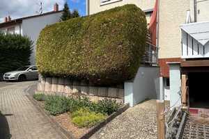 Kapitalanlage! Vermietetes Reihenendhaus mit Terrasse und PKW-Stellplatz in Lich - Ober-Bessingen – Gießen (Kreis) – Vorschaubild 8