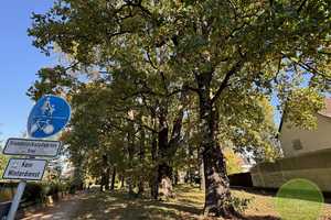 ** EIN-familienhaus Traum ** 5 Zimmer ** ca. 311 qm Grundstück ** Garten mit altem Baumbestand ** – Marloffsteiner Straße 82, 90411 Nürnberg – Vorschaubild 71