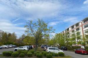 attraktive Kapitalanlage im grünen Marzahn - Eigentumswohnung mit Balkon vermietet – Die vollständige Adresse der Immobilie erhältst du vom Anbieter., 12685 Marzahn, Berlin – Vorschaubild 5