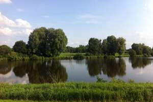 XL-Resthof am Vörder See! 14.013 m² Grundstück - Platz für Tiere & Hobbys – 27432 Bremervörde – Vorschaubild 32