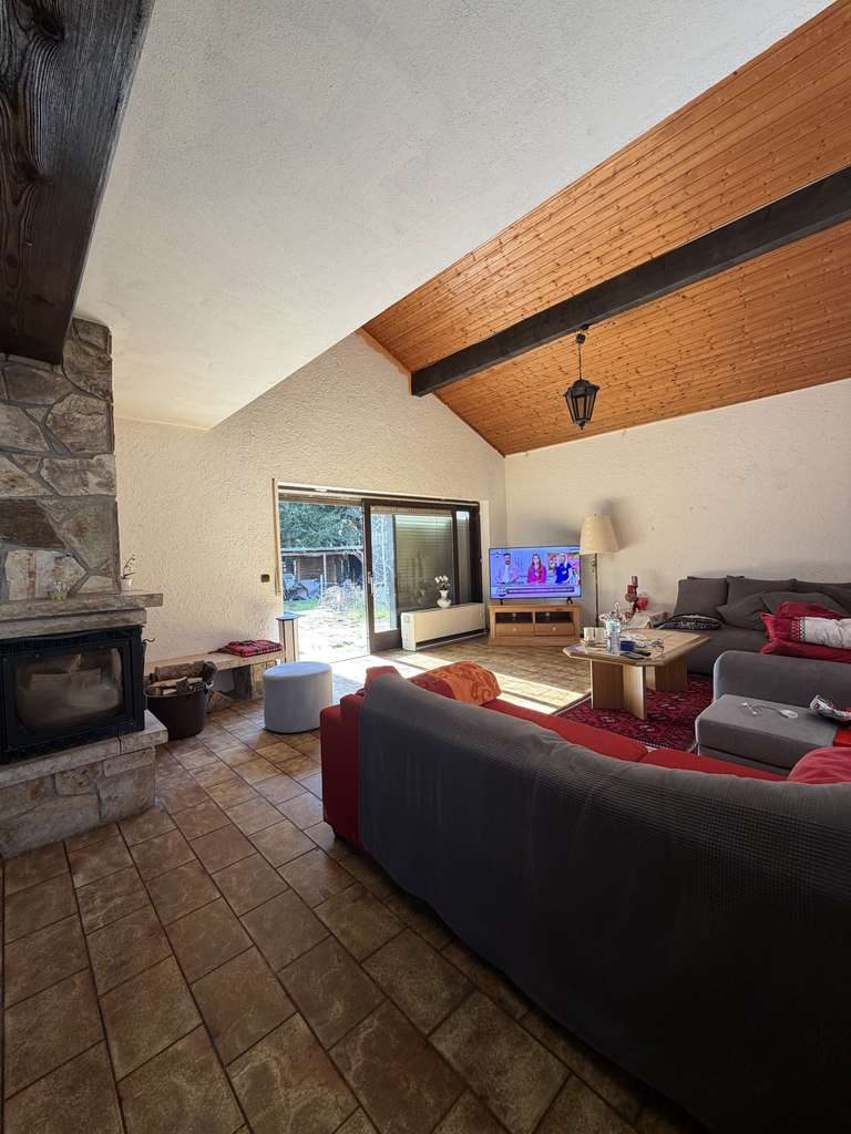 Immobilie in Linkenheim-Hochstetten - Modernes Einfamilienhaus mit Pool, großem Grundstück & viel Potenzial - Bild 1