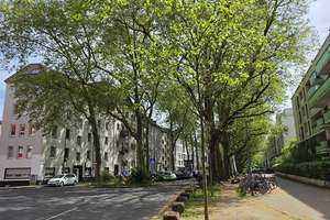 Ruhig wohnen zwischen Uni, Barbarossaplatz und Volksgarten - leerstehend (A385os) – Die vollständige Adresse der Immobilie erhältst du vom Anbieter., 50677 Neustadt/Süd, Köln – Vorschaubild 43