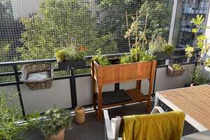 Property thumbnail 14