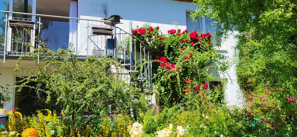 "GROSS und FAMILIÄR" Einfamilienhaus nah bei Göttingen