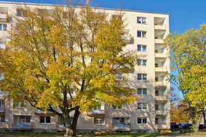 Mein Zuhause in Essen – Hochfeldstr. 154, 45307 Essen – Vorschaubild 1