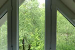 Großzügiges Einfamilienhaus im Luftkurort Wiesmoor, Provisionsfrei – Am Wildbach 21, 26639 Wiesmoor – Vorschaubild 46
