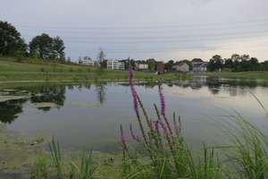 Property thumbnail 32