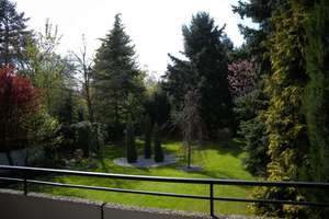 Sanierte Wohnung in sehr guter Lage der Schlossstadt Brühl, Balkon, Provisionsfrei! – 50321 Brühl – Vorschaubild 4