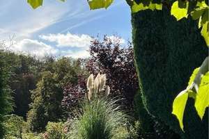 Familienidylle in Höhenlage: Großzügiges Einfamilienhaus mit Gartenparadies – Die vollständige Adresse der Immobilie erhältst du vom Anbieter., 56307 Dürrholz – Vorschaubild 11