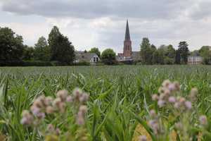 Property thumbnail 9