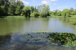 2 MIETEN FREI! Rober-Koch-Straße 32 (Parkanl Ihlenpool), 4. OG, Erstbezug n. Komplettrenov. – Robert-Koch-Str. 32, 17036 Stadtgebiet Ost, Neubrandenburg – Vorschaubild 16