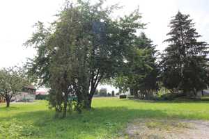 EFH IN RUHIGER SIEDLUNG – Dingolfing-Landau (Kreis) – Vorschaubild 50