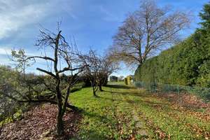 Prien am Chiemsee: Älteres EFH m. ca. 1.650 m2 Grund in herrlicher Randlage m. Berg- u. Seeblick! – Die vollständige Adresse der Immobilie erhältst du vom Anbieter., 83253 Rimsting – Vorschaubild 10