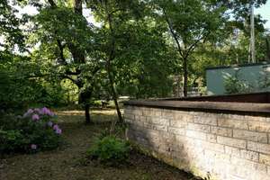 Großes Grundstück & ruhige Lage – Familienhaus mit Potenzial – Storchenneststr. 15, 1259 Kleinzschachwitz, Dresden – Vorschaubild 7