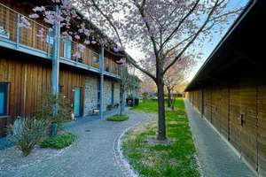 Fürstliches Wohnen: 4-Zimmer-Maisonette-Wohnung im Hofgut Kolnhausen!