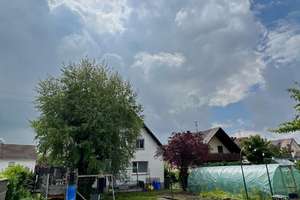 Einfamilienhaus in ruhiger und sonniger Lage mit schönem Garten! – Die vollständige Adresse der Immobilie erhältst du vom Anbieter., 78056 Weigheim, Villingen-Schwenningen – Vorschaubild 19