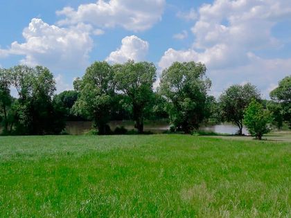 Haus kaufen Wächtersbach: Häuser kaufen in Main-Kinzig ...