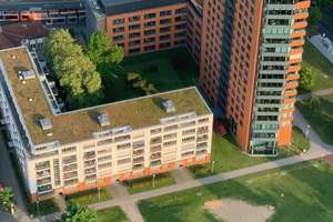 Modernes Wohnen am Rhein – 100 m² | 2 Bäder | Terrasse | TG | provisionsfrei