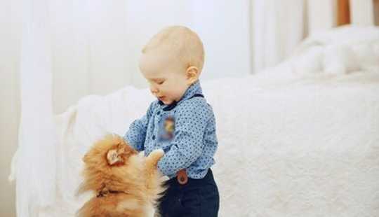 Bild von **Moderne Architektur trifft auf zeitlose Eleganz-Ihr neues Zuhause mit Klinkeraktion!**