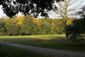 Property thumbnail 12