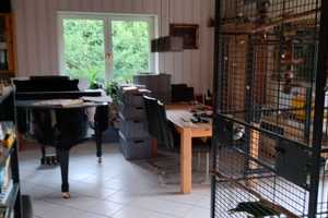 Geräumiges, günstiges und modernisiertes 9-Raum-Einfamilienhaus mit geh. Innenausstattung – Nordwestmecklenburg (Kreis) – Vorschaubild 10