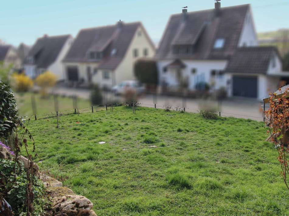 Garten (4)
